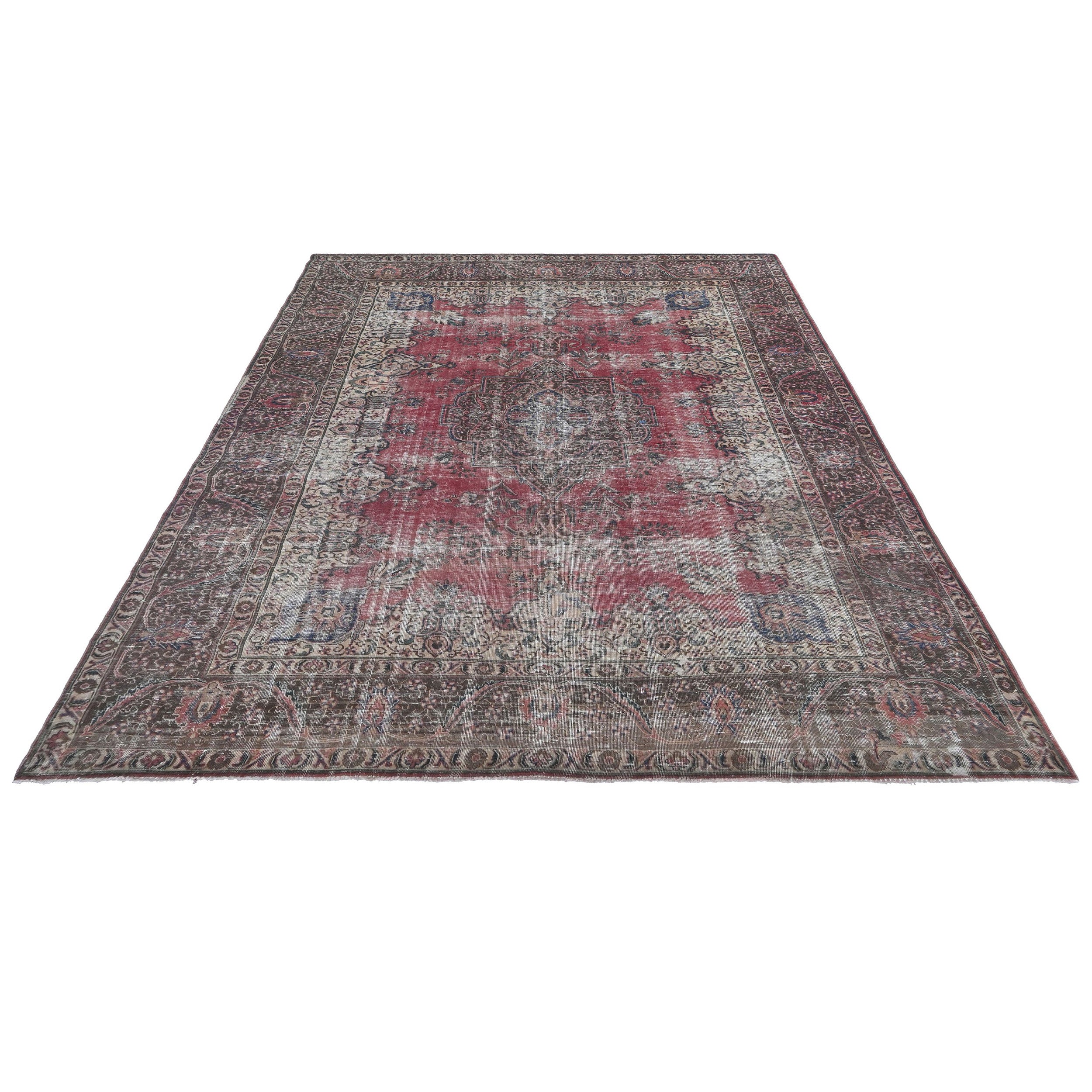Delphinia | 7'8" x 10'4"