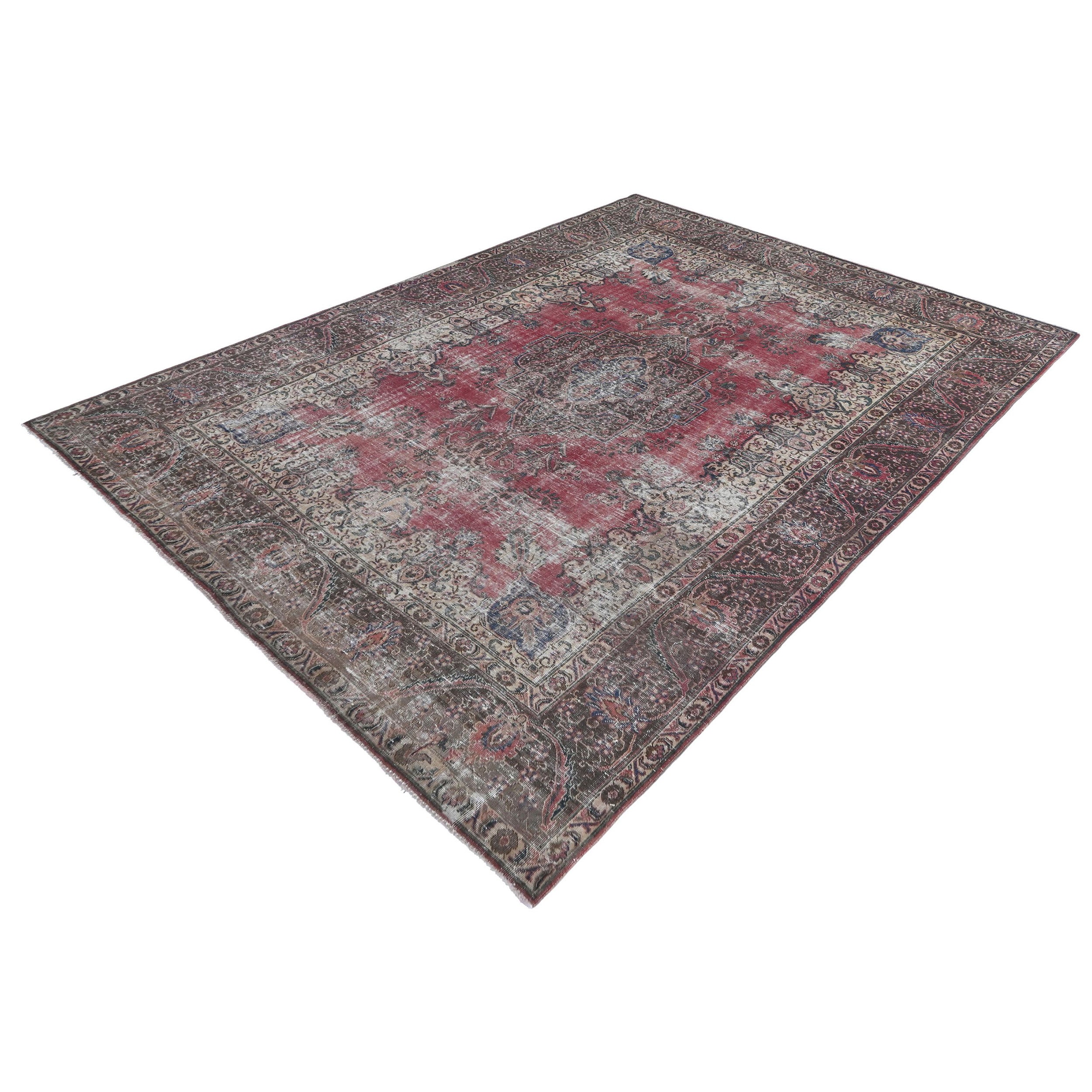 Delphinia | 7'8" x 10'4"