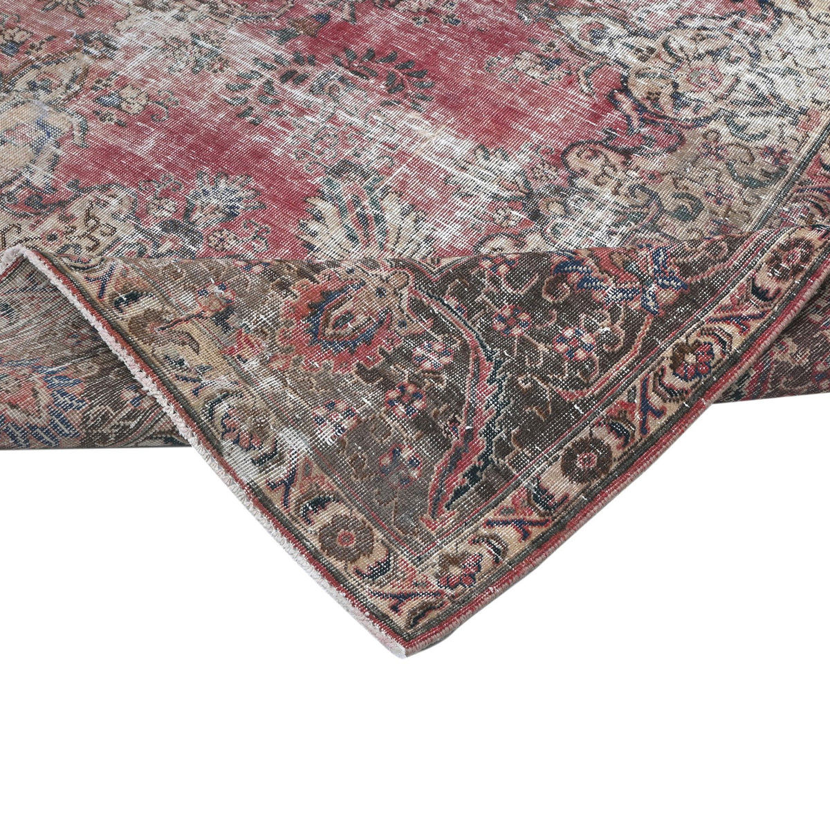 Delphinia | 7'8" x 10'4"