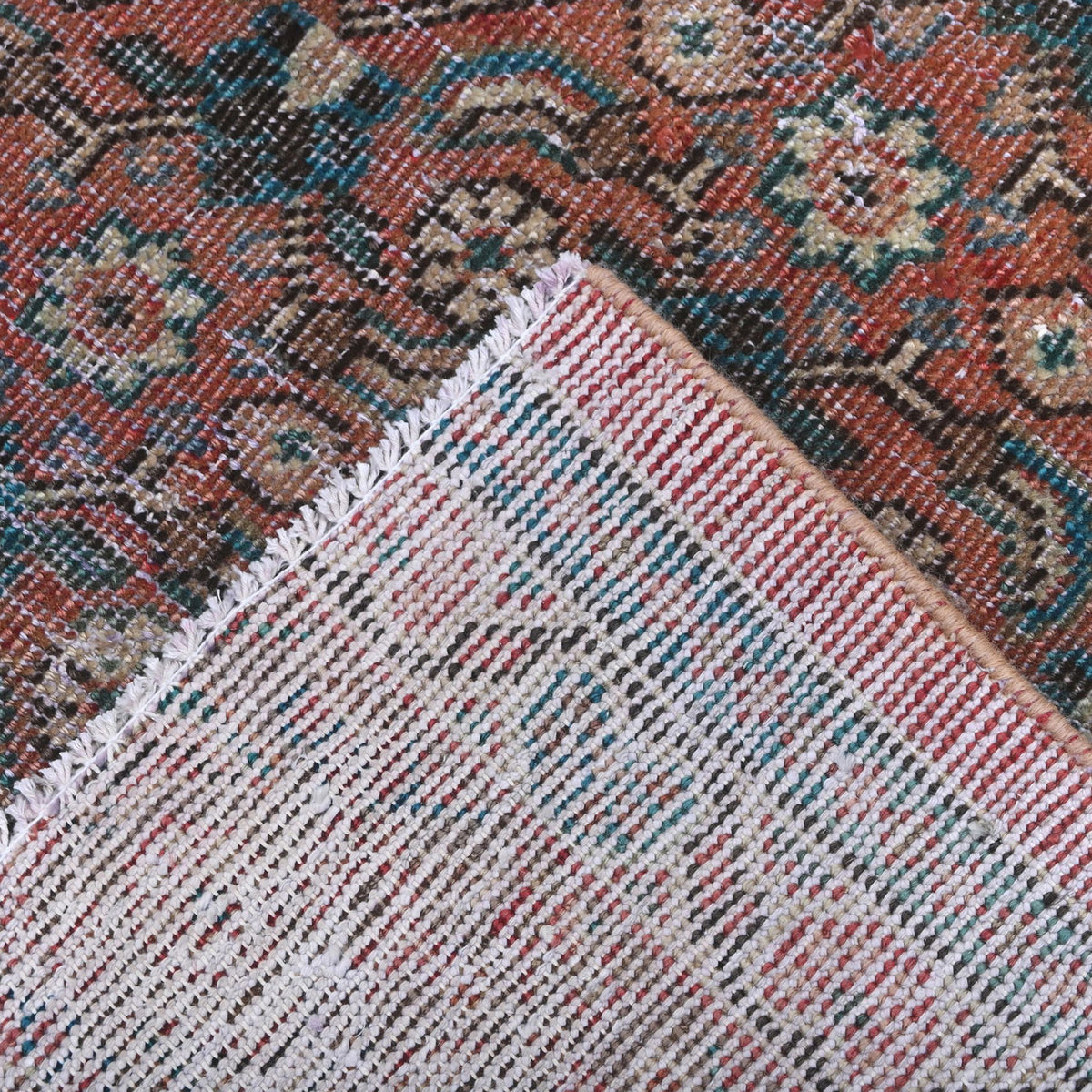 Lucienne | 9'2" x 11'6"
